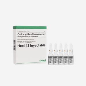 COLOCYNTHIS HOMACCORD AMPOLLA X1 HEEL - Image 2