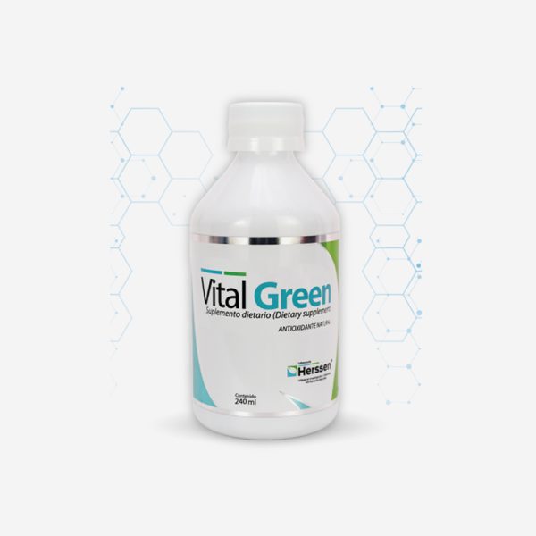 VITAL GREEN X 240 ML HERSSEN