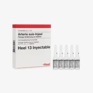 ARTERIA SUIS-INJEEL AMPOLLAS X 5 HEEL